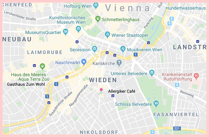 Allergiker Cafe Google Map