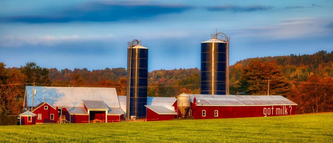 dairy-farm-4019962_1920