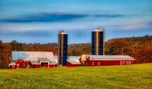 dairy-farm-4019962_1920