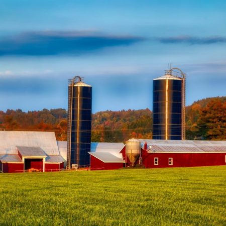 dairy-farm-4019962_1920