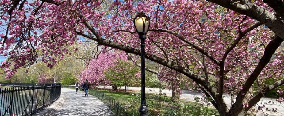 spring